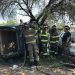 Realizan Bomberos de Hermosillo practica de rescate de víctimas en vehículos siniestrados