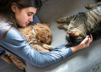 Estos son los pros y los contras de dormir con tus mascotas