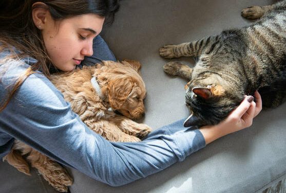 Estos son los pros y los contras de dormir con tus mascotas