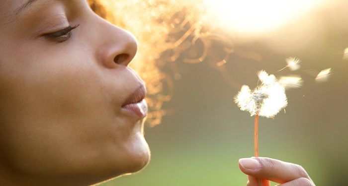 Las 7 palabras mágicas que le darán sentido a tu vida