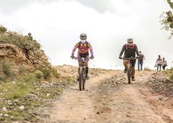 Cómo la naturaleza nos hace más felices y más saludables