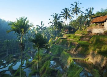 Los destinos más populares del mundo según los viajeros