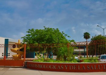 Investigación en salud es un rayo de esperanza: Rectora Plancarte