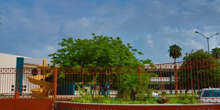 Investigación en salud es un rayo de esperanza: Rectora Plancarte