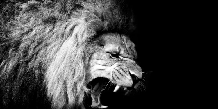 Los animales más poderosos del mundo