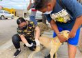 Invitan a la población a que lleven a sus mascotas a recibir la vacuna contra la rabia