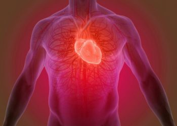 12 nutrientes principales para un corazón saludable