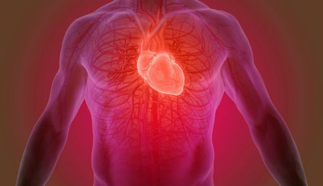 12 nutrientes principales para un corazón saludable