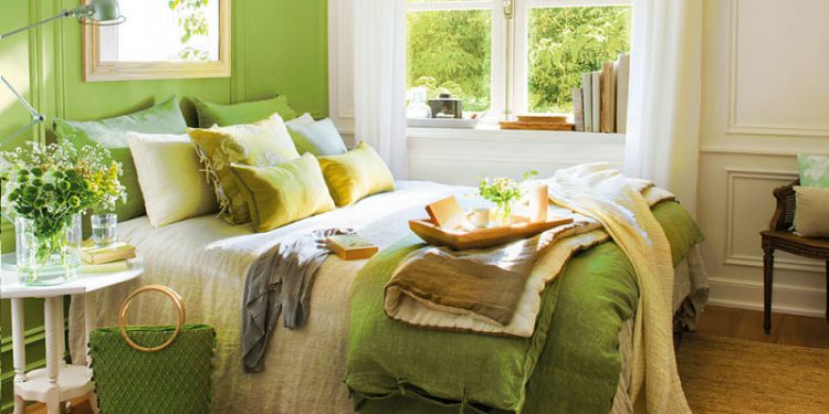 Plantas de interior ideales para el dormitorio