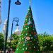 Alrededor de 700 adornos navideños se instalarán en bulevares y espacios de convivencia