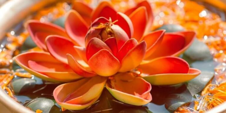 Estos son los 7 pasos para la felicidad según la filosofía hindú