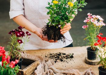 Con estos 3 hábitos reducirás tus niveles de estrés