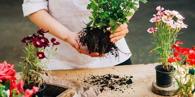 Con estos 3 hábitos reducirás tus niveles de estrés