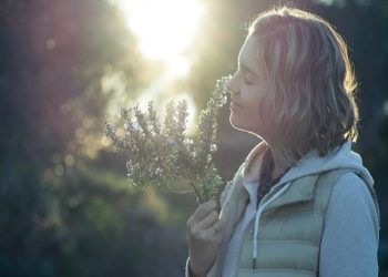 Las 7 mejores plantas para estimular la memoria