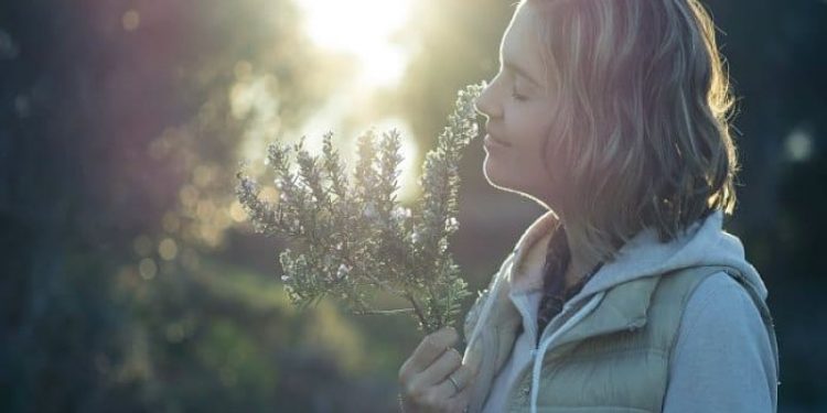 Las 7 mejores plantas para estimular la memoria