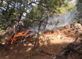 Se coordina Protección Civil estatal con Conafor para sofocar incendio forestal en la sierra
