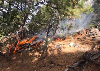 Se coordina Protección Civil estatal con Conafor para sofocar incendio forestal en la sierra