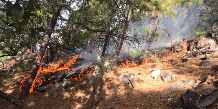 Se coordina Protección Civil estatal con Conafor para sofocar incendio forestal en la sierra