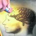 El ajo y sus beneficios para tratar problemas de memoria