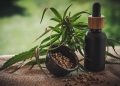 ¿Qué es el CBD y para qué sirve?