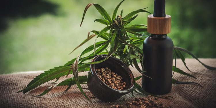 ¿Qué es el CBD y para qué sirve?