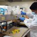 Ingresan 57 docentes de Unison en el Sistema Nacional de Investigadores de Conacyt