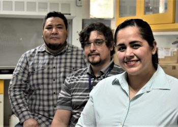 Desarrollan transporte para aplicar medicamentos directamente en puntos de infección sin afectar otros tejido y órganos