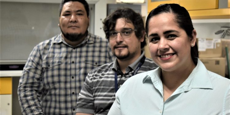 Desarrollan transporte para aplicar medicamentos directamente en puntos de infección sin afectar otros tejido y órganos