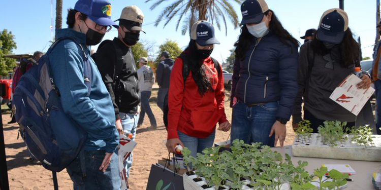 Regresan a clases presenciales en el Día Nacional del Ingeniero Agrónomo