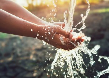 Crisis ambiental a la vista: El agua se está desperdiciando