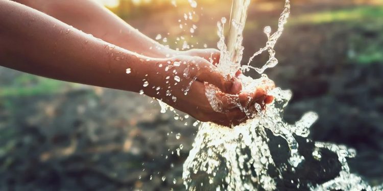 Crisis ambiental a la vista: El agua se está desperdiciando