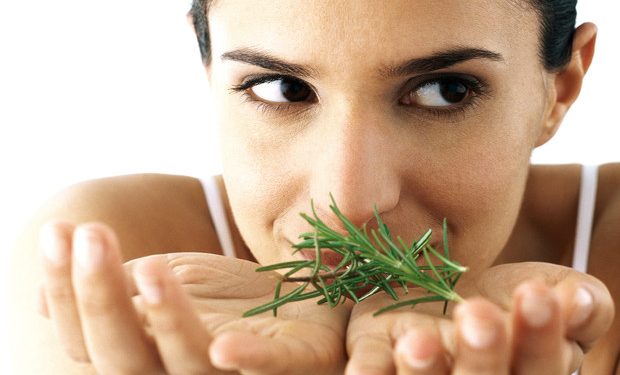 Formas de usar el romero más allá de la cocina