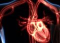 Complicaciones cardiovasculares por COVID-19 a largo plazo