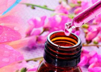 Terapia Floral: Una forma de autosanación