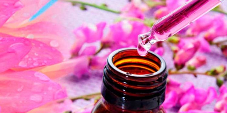 Terapia Floral: Una forma de autosanación