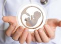 Dia mundial de la fertilidad