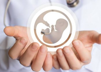 Dia mundial de la fertilidad