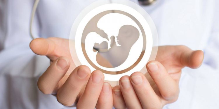 Dia mundial de la fertilidad