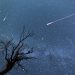 ¡A pedir deseos! Estos días puedes ver la lluvia de estrellas