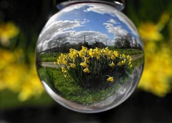 ¿Qué tecnologías ayudan al medio ambiente?