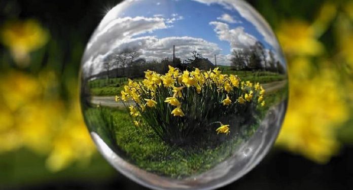 ¿Qué tecnologías ayudan al medio ambiente?