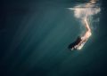¿Por qué los humanos no podemos beber agua salada?