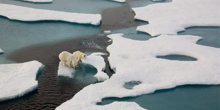 El Ártico se está calentando casi cuatro veces más rápido de lo que los científicos creían