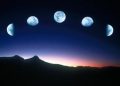 ¿Afectan las fases de la luna a los seres vivos?