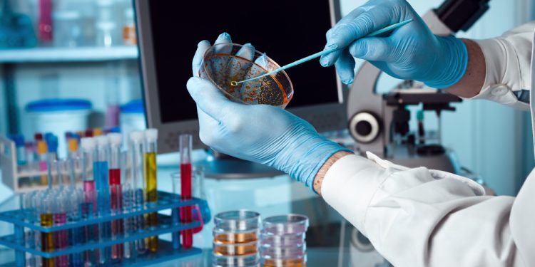 Trabaja el CIAD contra la rickettsia