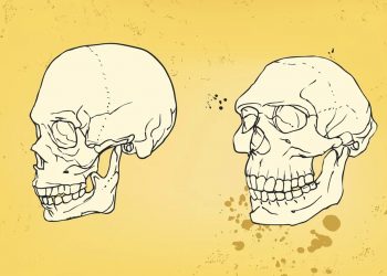 Sin esta pequeña mutación genética tendríamos la inteligencia de los neandertales