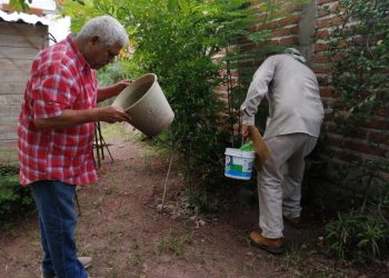Puedes prevenir el dengue con estas cuatro acciones