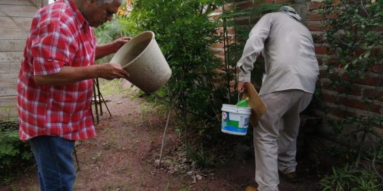 Puedes prevenir el dengue con estas cuatro acciones