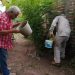 Puedes prevenir el dengue con estas cuatro acciones