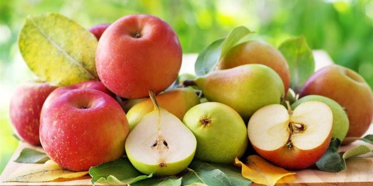 Estos son los alimentos con el índice glucémico más bajo